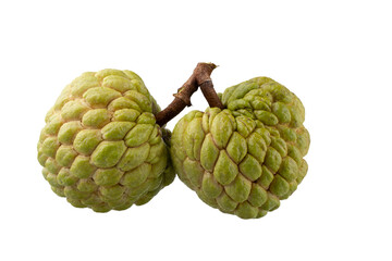 custard apple fruit isolated on a transparent background.