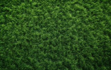 Top view artificial grass soccer field background texture
