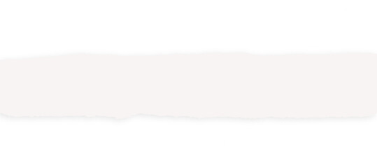 white torn paper copy space