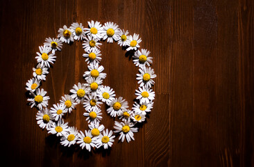 Peace symbol of beautiful daisy flowers on a wooden background. Symbol of pacifism