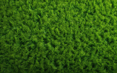 Top view artificial grass soccer field background texture