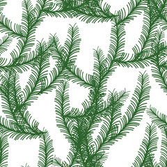 Pine tree branches, fir twigs christmas print