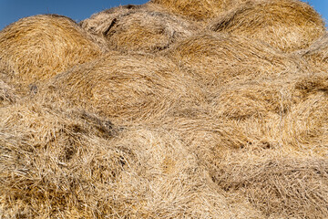 A stack of hay. harvest