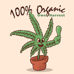 funky face weed in the vase thumbs up for 100% organic mascot. cannabis vintage style mascot vector illutration
