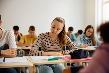 Teenage girl and her classmates studying on class at high school.