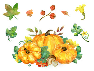 Autumn watercolor set: composition with pumpkins, leaves, mushrooms, and berries. Illustrations, clipart. Transparent background. PNG.