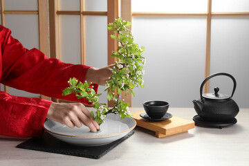 Stylish ikebana as house decor. Woman creating floral composition with fresh branch at white table, closeup