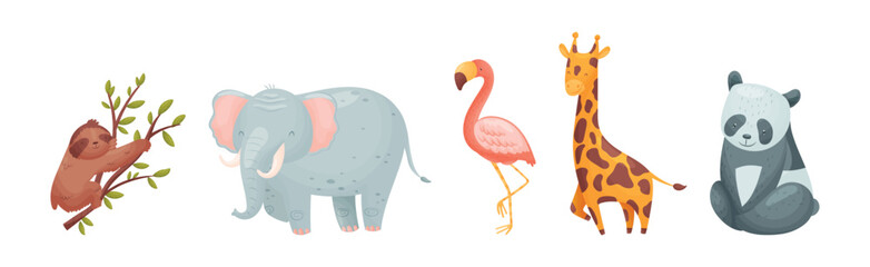 Cute African Animals and Zoo Creature Vector Set