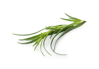 Fototapeta premium One sprig of fresh tarragon on white background