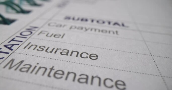 Create monthly interim budget for expenses. Monthly budget printout with subtotal text