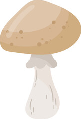 Armillaria Mellea Mushroom Plant