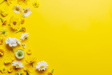 Assorted flowers on yellow backdrop