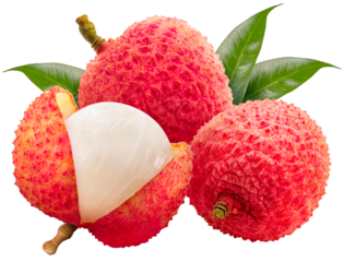 Collection of Red Lychee fruit isolated on white background, Fresh Red Lychee or Litchi Chinensis fruit on White Background PNG File.