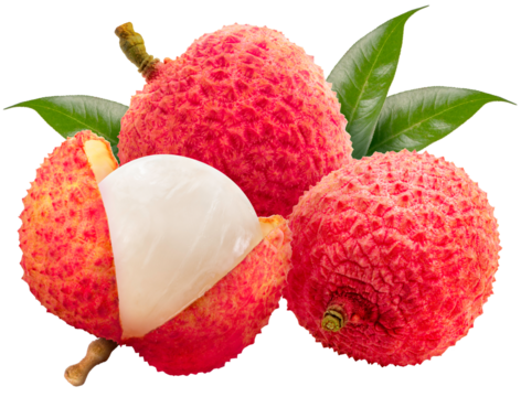 Collection of Red Lychee fruit isolated on white background, Fresh Red Lychee or Litchi Chinensis fruit on White Background PNG File.