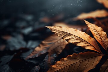 Close up of beautiful autumn leaves with water drops. Natural background.Generative Ai