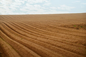 Brown Agricultural Soil in a Plowed fertile Field, Embracing the Rural Farm Landscape. Nurturing the Earth.