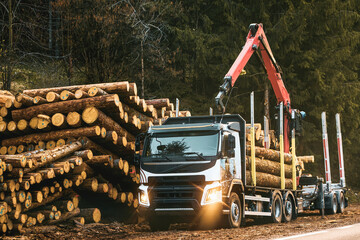 Loading logs onto a logging truck. Portable crane on a logging truck. Forestry tractors, trucks and...