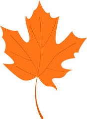 Maple Tree Leaf