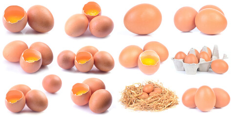 Eggs on a white background