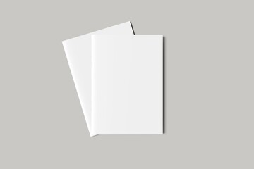 Brochure and Catalog Mockups