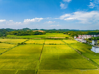 Fototapeta premium Overlook of Chinese rural houses and river scenery,Aerial photography of pastoral scenery in Jiangxi, China