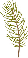Naklejka premium Pine Tree Branch