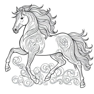 recommend clip art: Pony horse animal line art illustration. Black and white coloring page style art. Generative AI