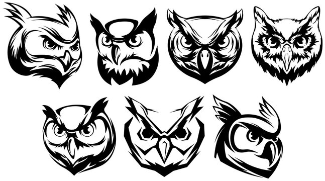 Head of owl isolate on white. Abstract birds character illustration variant set. Graphic logo design templates for emblem. Image of portrait.