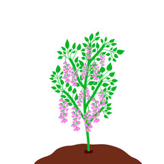 Obraz premium beautiful flower plant painting png