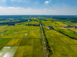 Rural rural scenery, green rice field, blue sky and white clouds, Jiangxi, China