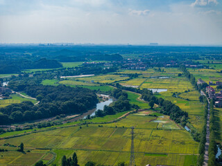 Rural rural scenery, green rice field, blue sky and white clouds, Jiangxi, China