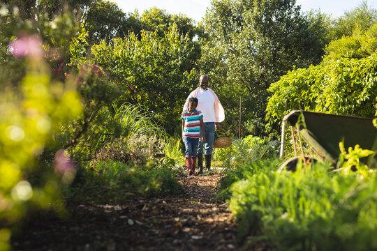 Happy african american grandfather and grandson holding basket with vegetables, walking in garden