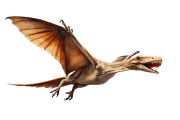 Isolated Pteranodon Dinosaur transparent Background. Generative AI - obrazy, fototapety, plakaty