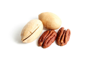 Pecan nuts in shell and peeled pecan halves isolated on white background. Two whole and two halves of pecan nuts