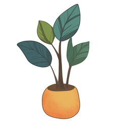 Drawing of a coconut sprout that grows from a coconut