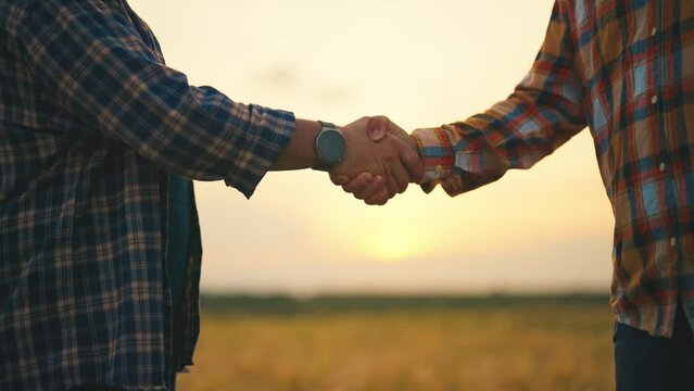 Two men farmers shaking hands concluding business contract on agricultural field at sunset, hands close-up. Cooperation in agriculture, partnership collaboration. Farm, farming, agribusiness concept.