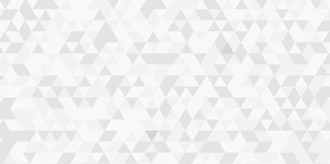 Abstract gray and white background. Abstract geometric pattern gray and white Polygon Mosaic triangle Background, business and corporate background.	