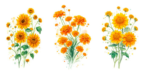 Collection of watercolor flowers arrangement isolated on white background. Botanic illustration style. AI Generative