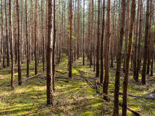 Obraz premium Landschaft