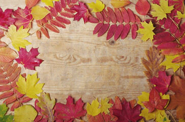 Yellow and red maple leaves on wood texture background.
