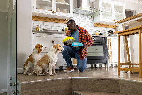 Happy african american man feeding his pet dogs in kitchen at home - Powered by Adobe