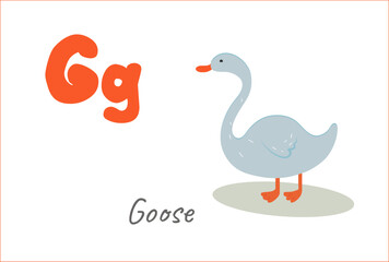 gray goose letter G for English alphabet