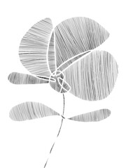 Flower illustrated by hand in a line technique