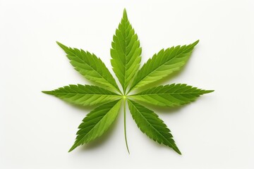 Cannabis leaf and hemp oil view from above empty white space. AI generated