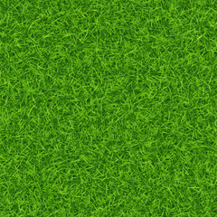 Lawn green grass texture repeat pattern. Vector