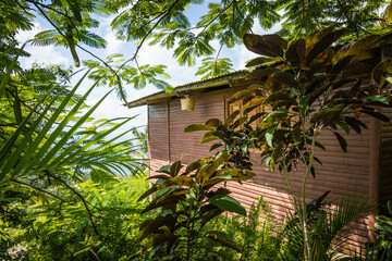 Close up shot of a typical Caribbean wooden houses in the jungle, painted in a soft light bue color. Natural, tropical living, ecologic mood.