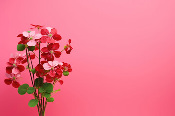 Bouquet of red clover on pink background with copy space for text