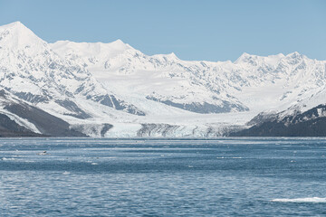 Harvard Tidewater Glacier at the end of College Fjord, Alaska, USA