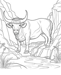 Buffalo animal coloring page for adults