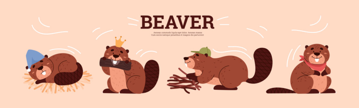 Set of cute beavers in different poses, cartoon flat vector illustration on beige background.